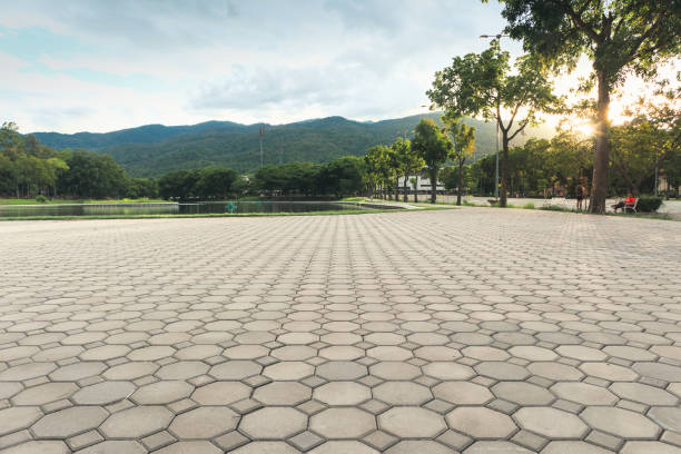 Best Driveway Paving Contractor  in Annandale, MN