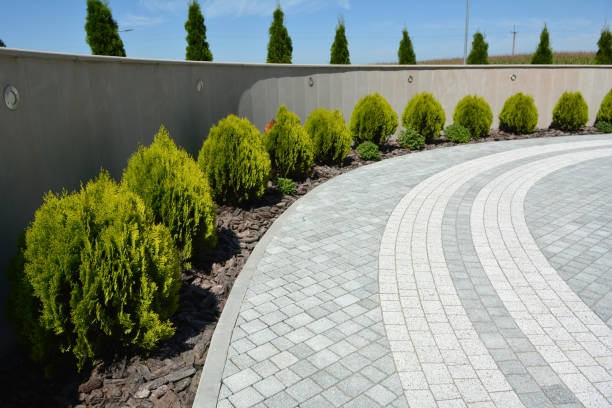 Best Affordable Driveway Pavers  in Annandale, MN