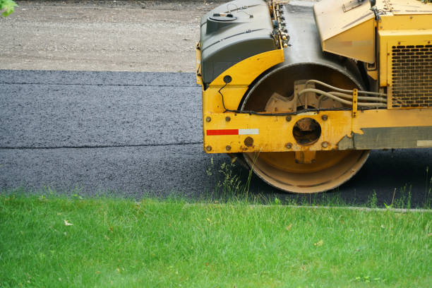Best Decorative Driveway Pavers  in Annandale, MN