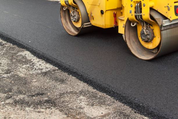Best Custom Driveway Pavers  in Annandale, MN